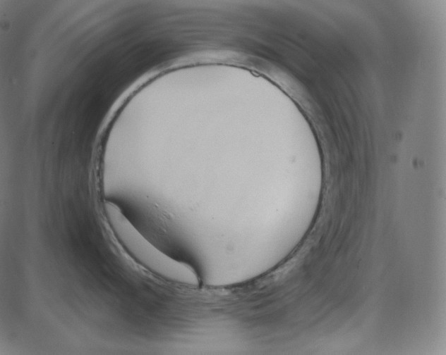 X0000084040912200703161828