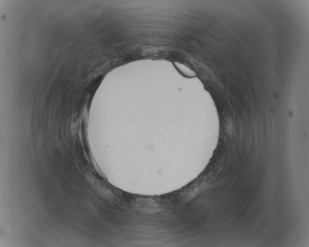 X0000084040914200703161827