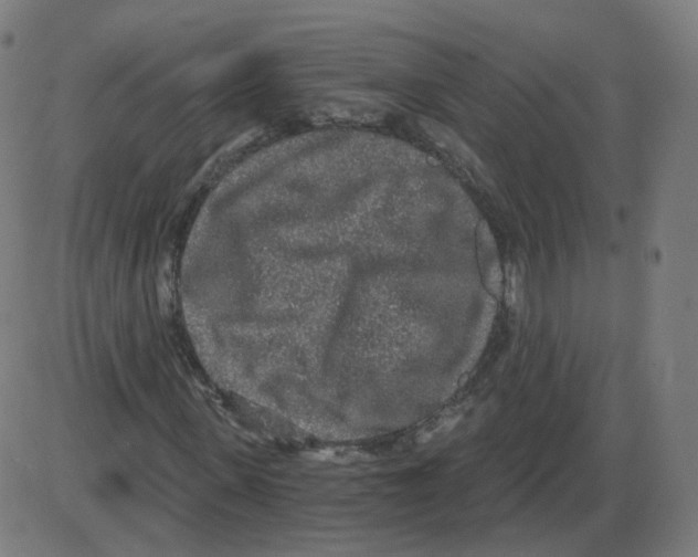 X0000084040915200703161827