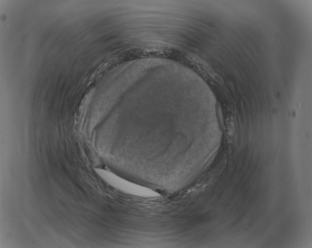 X0000084040916200703161827