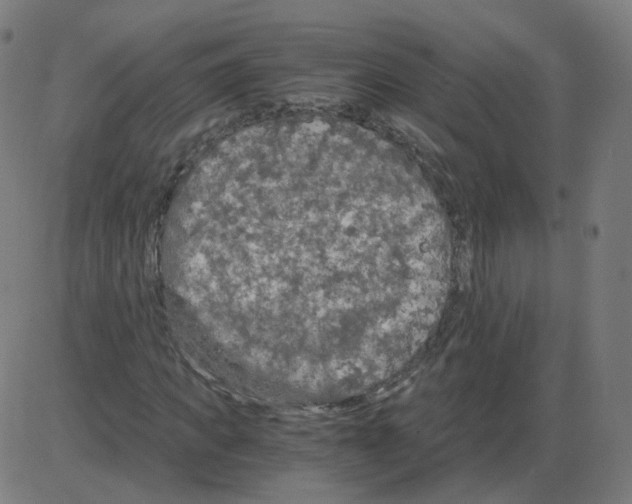 X0000084040917200703161827