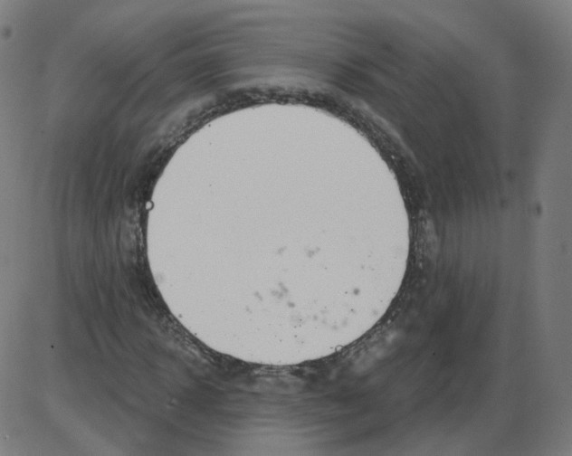 X0000084040918200703161827