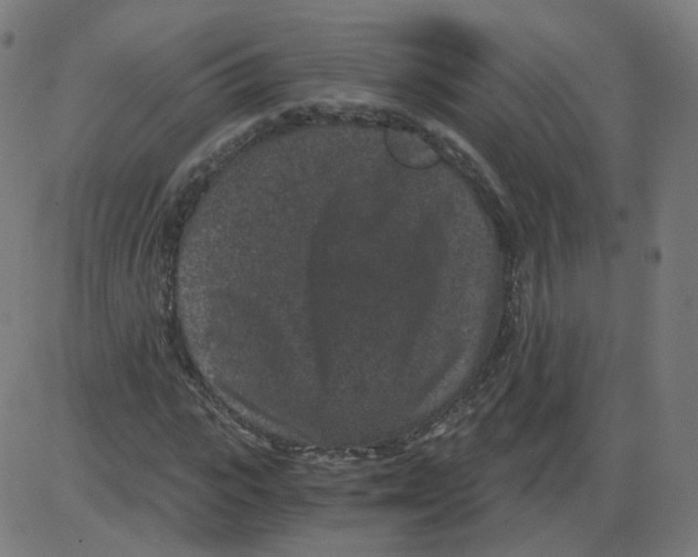 X0000084040919200703161827