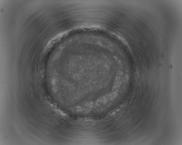 X0000084040920200703161827