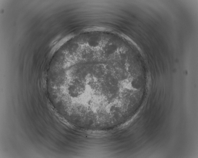 X0000084040921200703161827