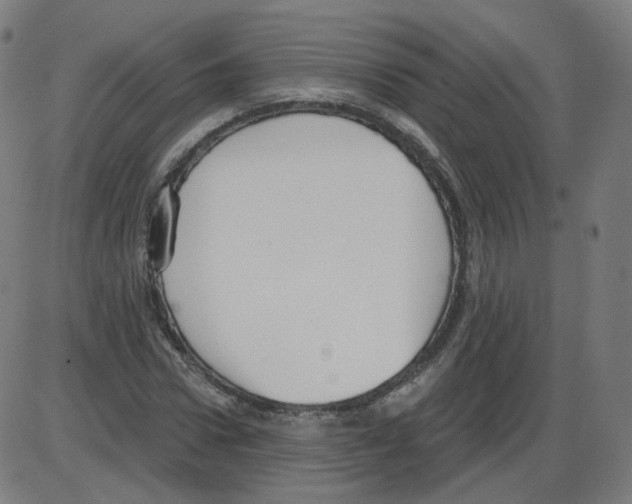 X0000084040922200703161827