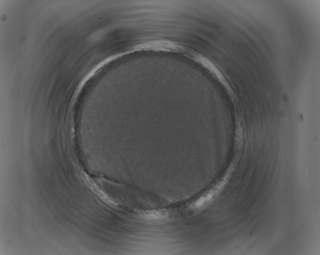 X0000084040923200703161827