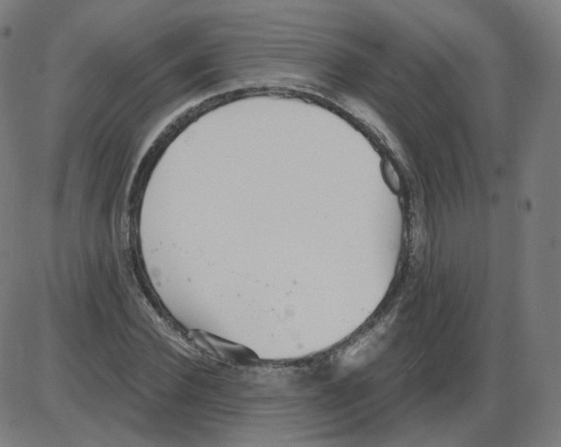 X0000084040924200703161827