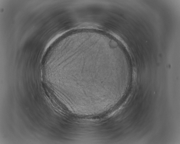 X0000084040925200703161827