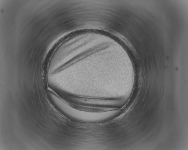 X0000084040926200703161827