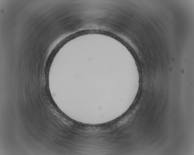 X0000084040927200703161827