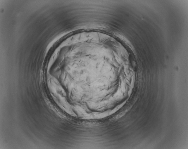 X0000084040928200703161827