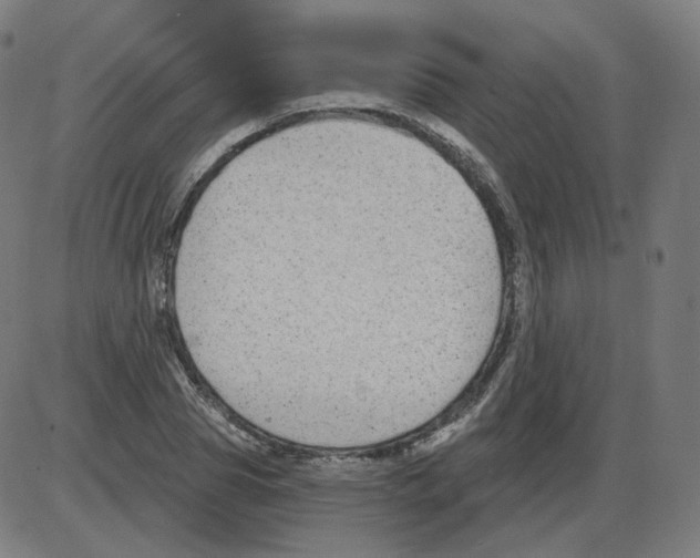 X0000084040929200703161827