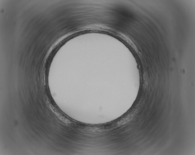 X0000084040931200703161827