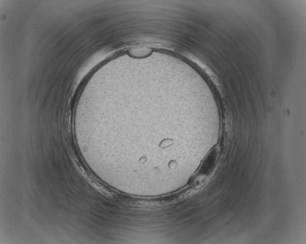 X0000084040933200703161827