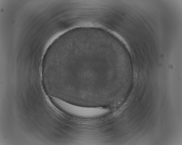 X0000084040935200703161827