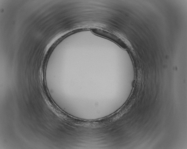 X0000084040936200703161828