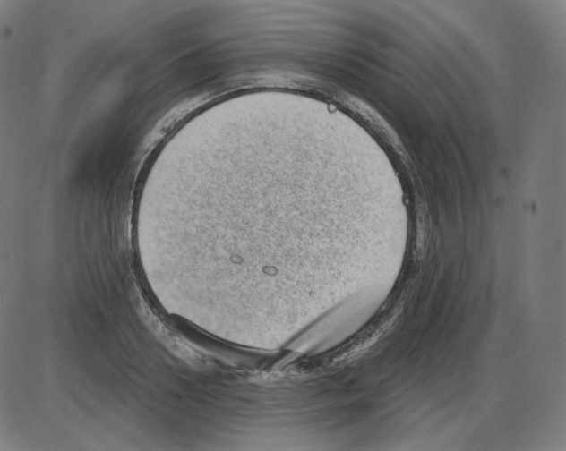 X0000084040938200703161828