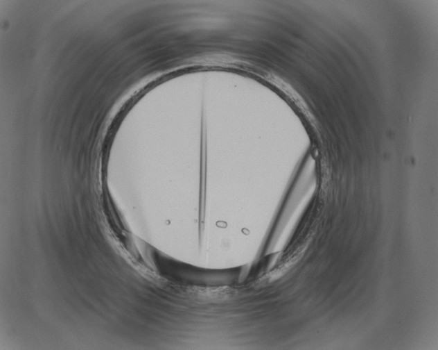 X0000084040939200703161828