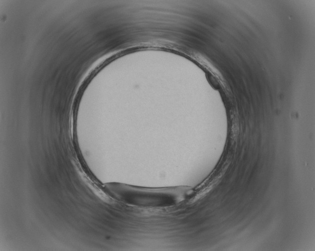 X0000084040940200703161828