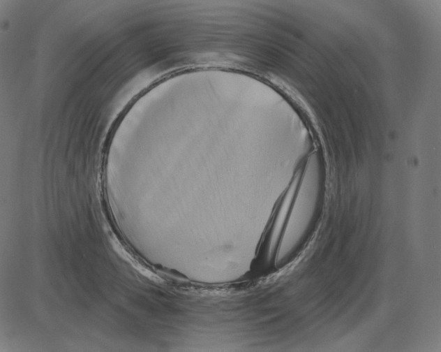 X0000084040941200703161828