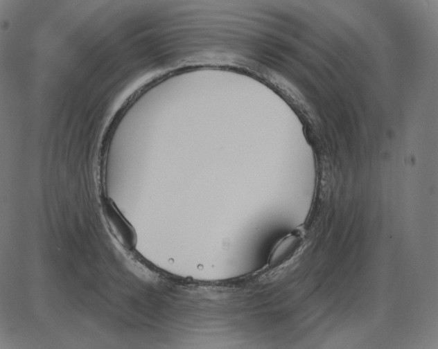 X0000084040942200703161828