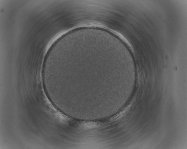 X0000084040943200703161828