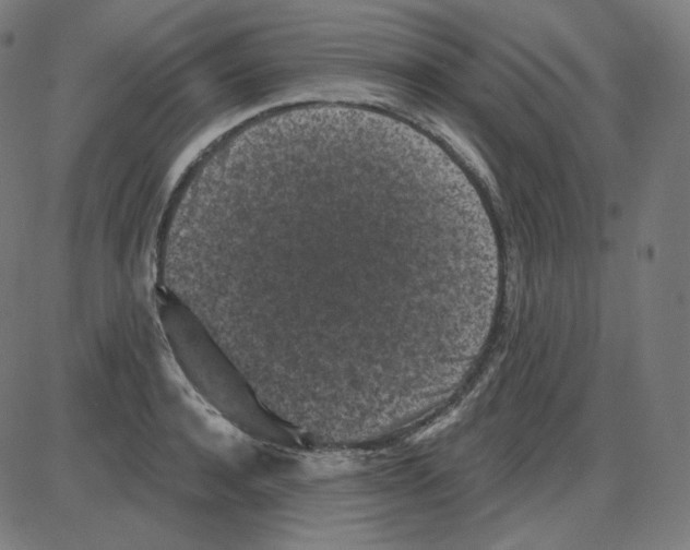 X0000084040944200703161828