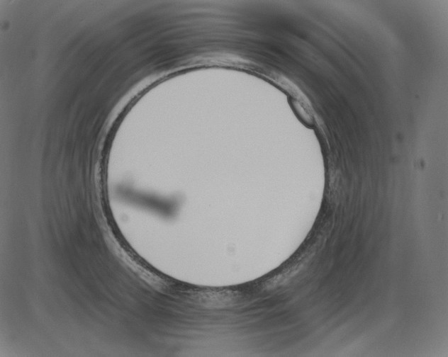 X0000084040947200703161828