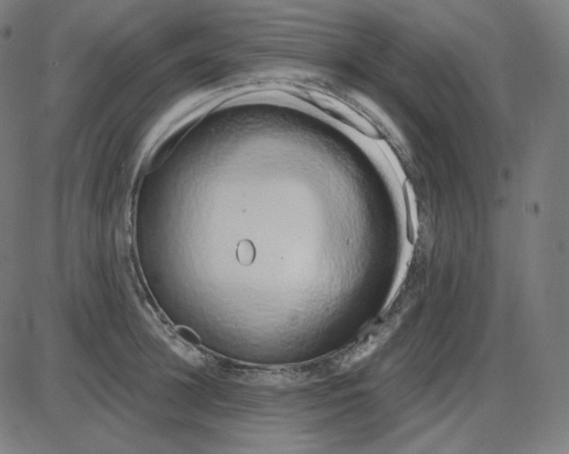 X0000084040948200703161828