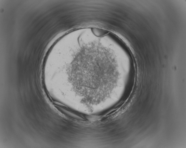 X0000084040949200703161828