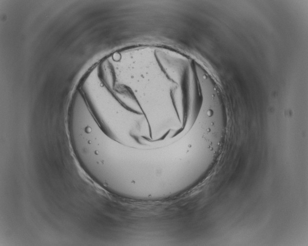 X0000084040950200703161828