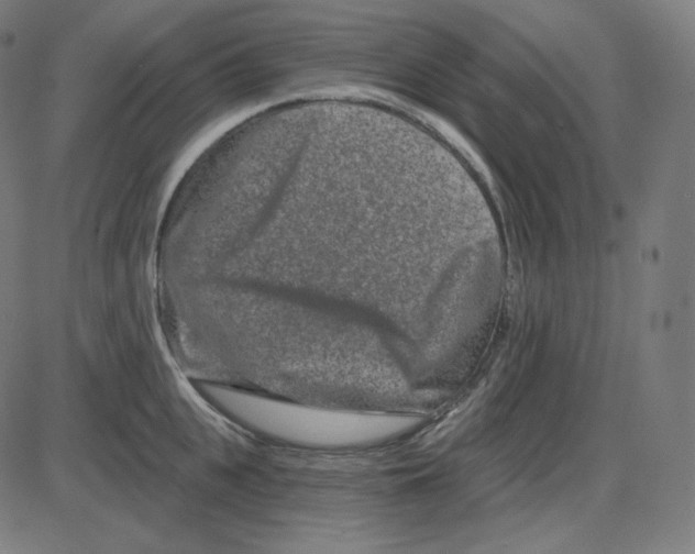 X0000084040951200703161828