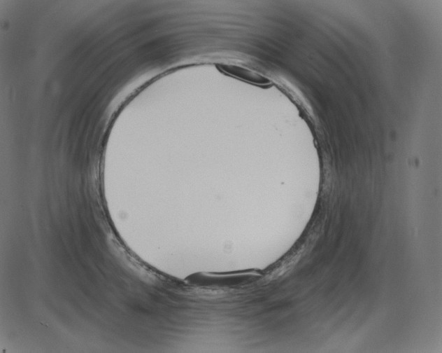 X0000084040952200703161828