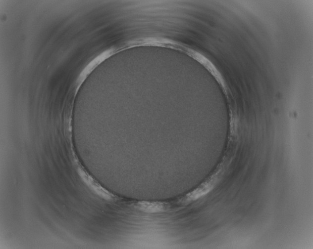 X0000084040954200703161828