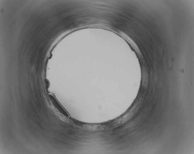 X0000084040956200703161828