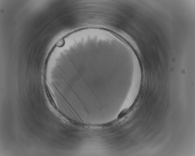 X0000084040958200703161828