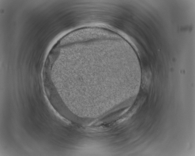 X0000084040959200703161828