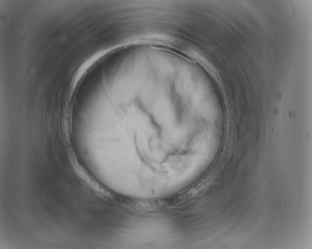 X0000084040960200703161828