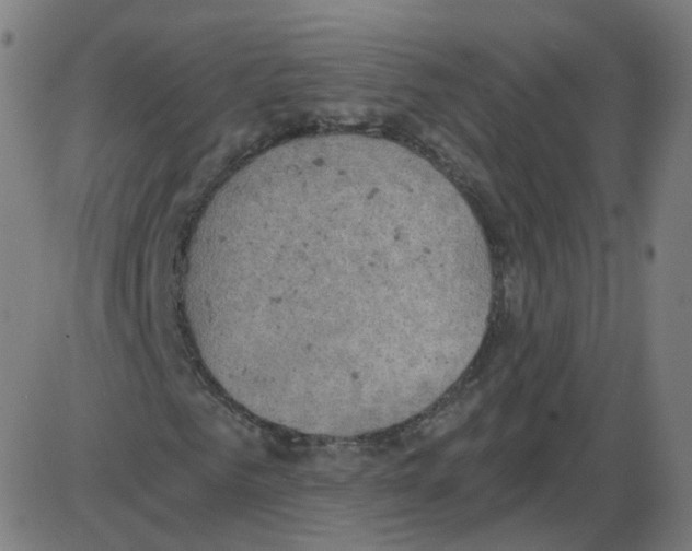 X0000084040961200703161827