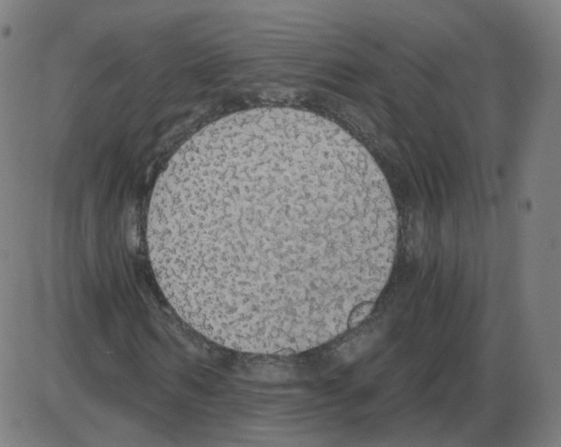 X0000084040962200703161827