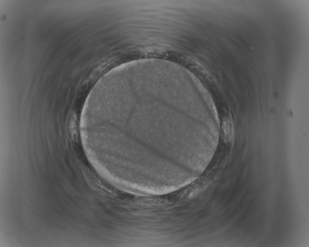 X0000084040963200703161827