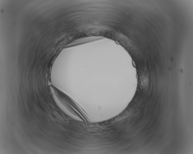 X0000084040964200703161827