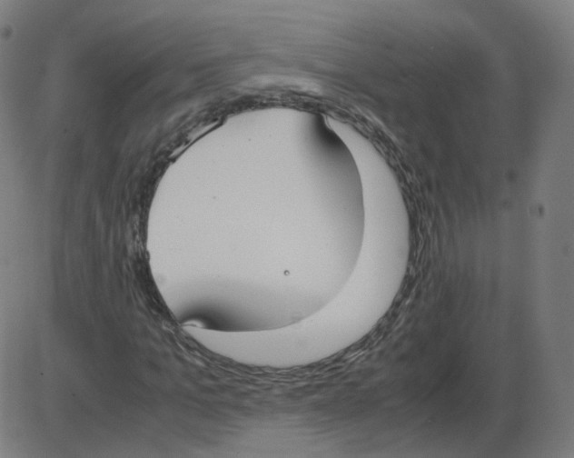 X0000084040965200703161827