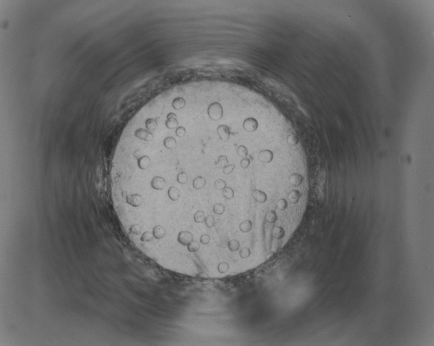 X0000084040966200703161827