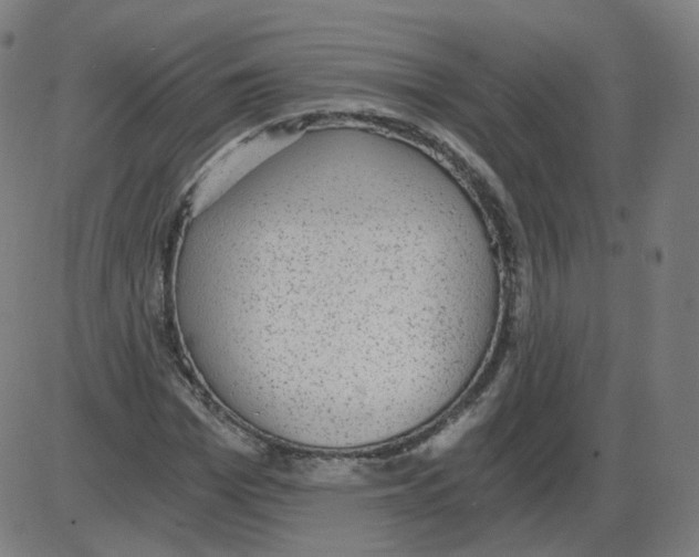 X0000084040969200703161827