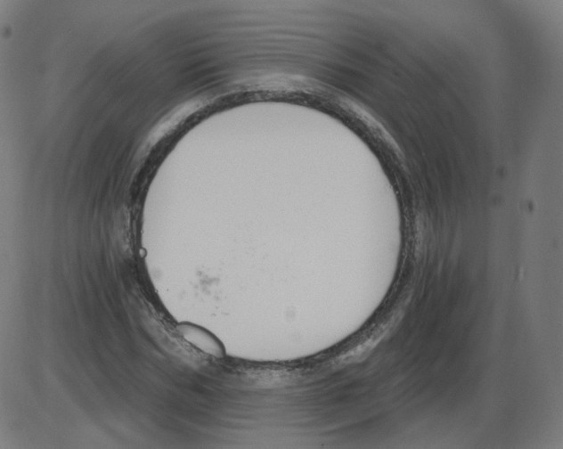 X0000084040970200703161827