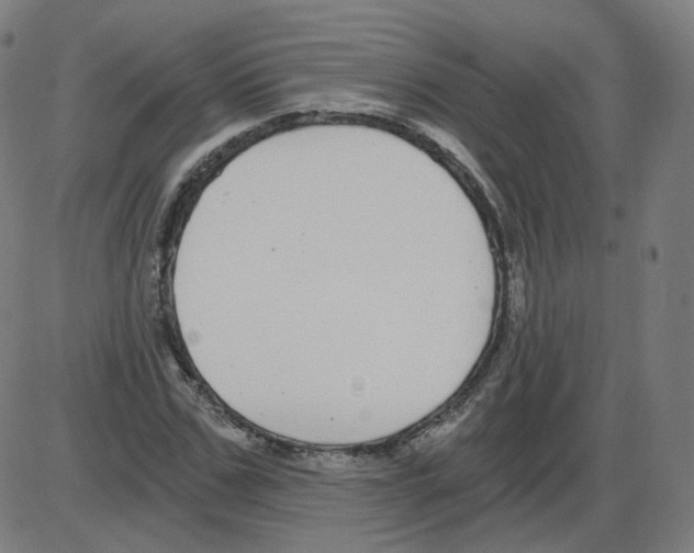 X0000084040971200703161827