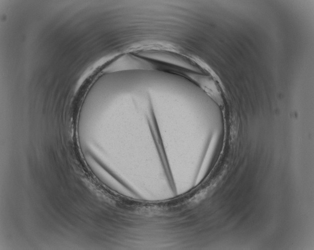 X0000084040973200703161827