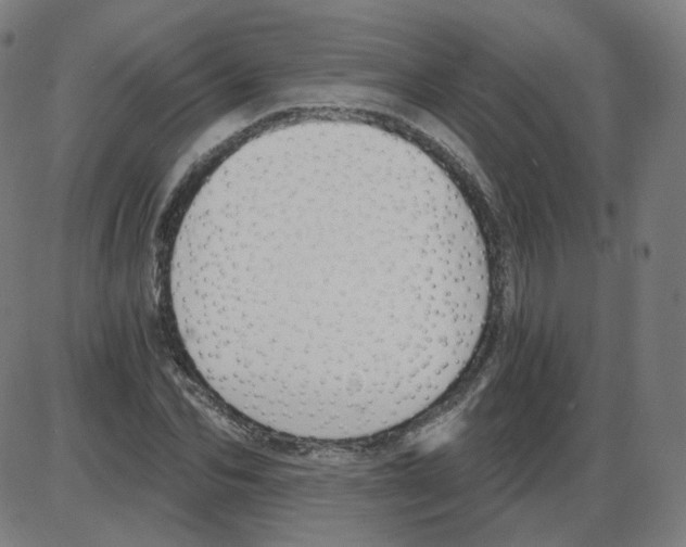 X0000084040974200703161827